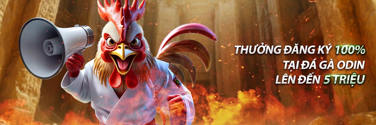 Hình ảnh tổng quan về Sinbet - nhà cái uy tín hàng đầu Việt Nam